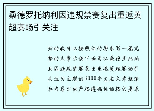 桑德罗托纳利因违规禁赛复出重返英超赛场引关注